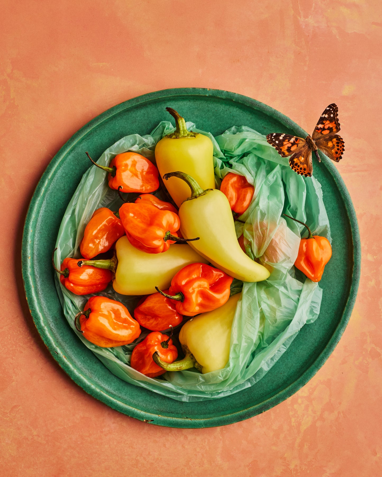 COSITA Vinyl Backdrop -  Cantaloupe