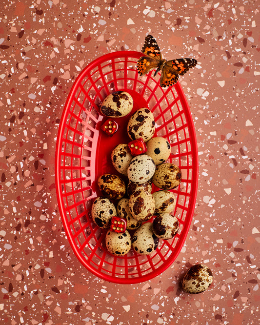 COSITA Vinyl Backdrop -  Moab Canyon