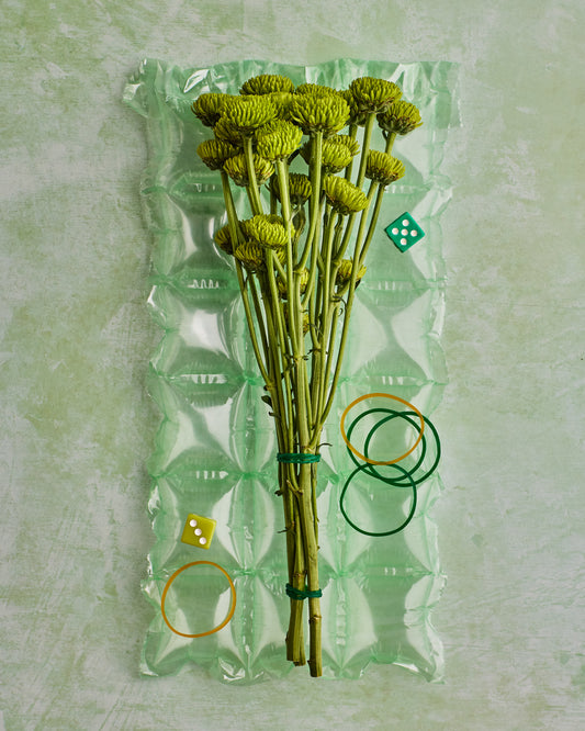 COSITA Vinyl Backdrop -  Mojito