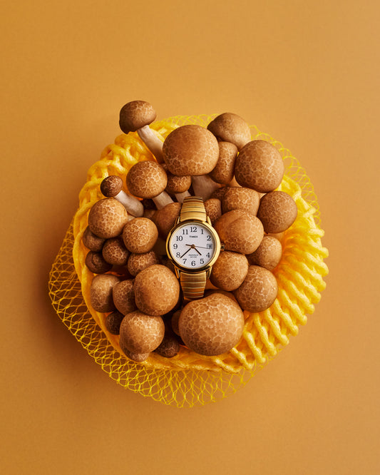 COSITA Vinyl Backdrop -  Mustard