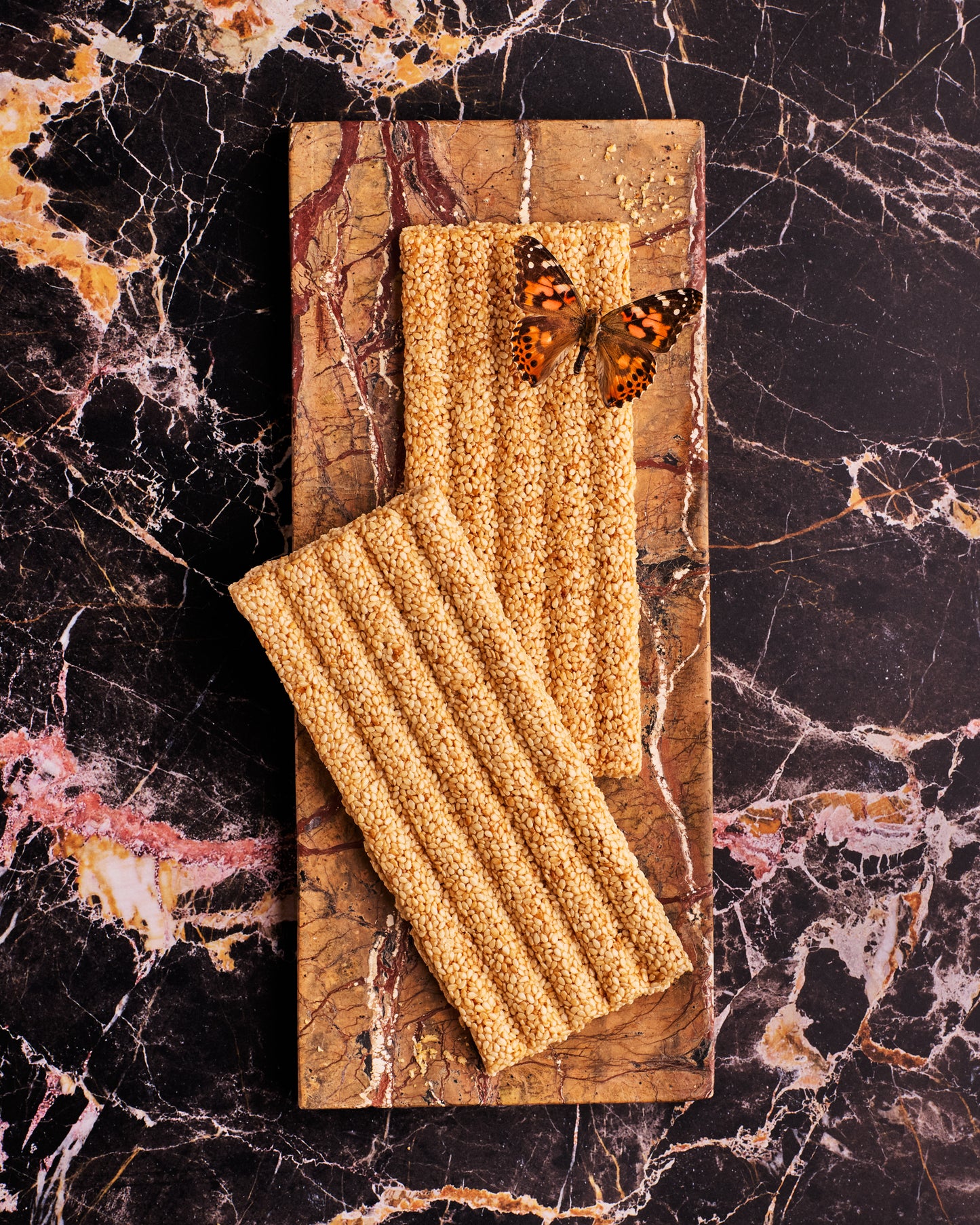 COSITA Vinyl Backdrop -  Noir St Laurant