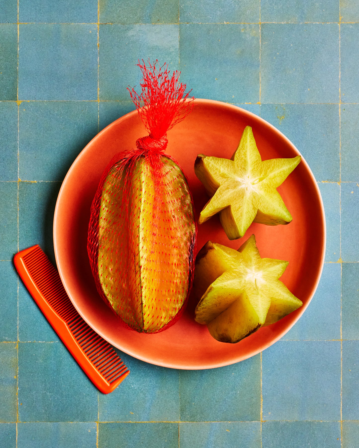 COSITA Vinyl Backdrop - Ocean Beach