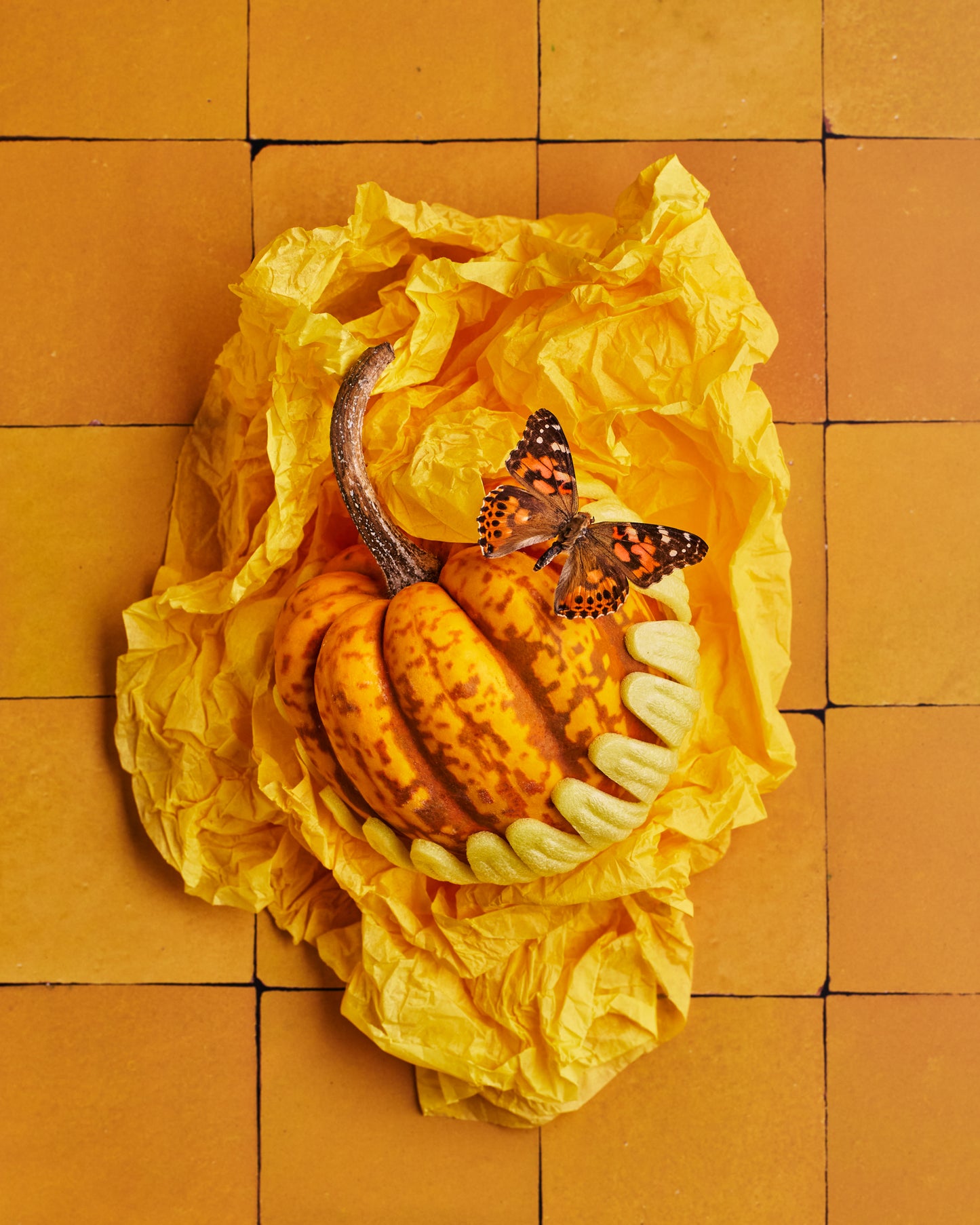 COSITA Vinyl Backdrop - Sunny Side Up