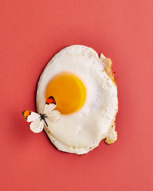 COSITA Vinyl Backdrop -  Tomato